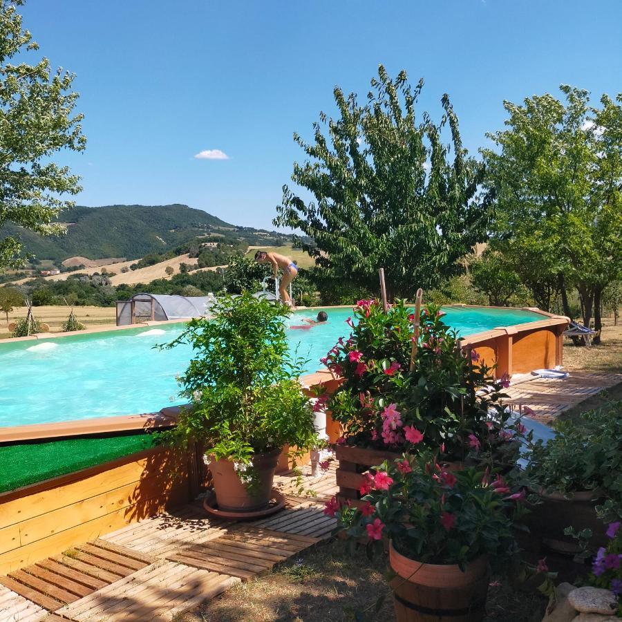 Appartement Mansarda Viti - Sguardo Su Frontone - Extérieur photo