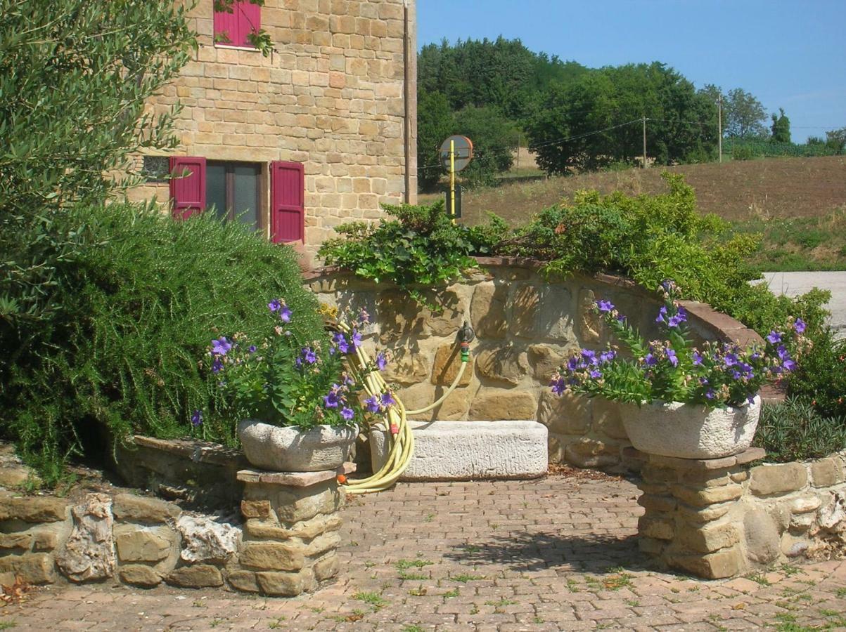 Appartement Mansarda Viti - Sguardo Su Frontone - Extérieur photo